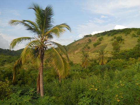 paisajes-de-haiti.jpg